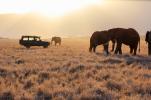 TSAVO - La terre des lphants rouges