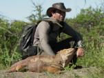 GALAPAGOS, in the footsteps of the mysterious pink iguana